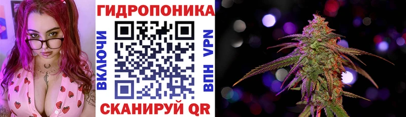 МАРИХУАНА план  Купить где  Алексин 